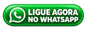 Botão verde de contato no WhatsApp-2